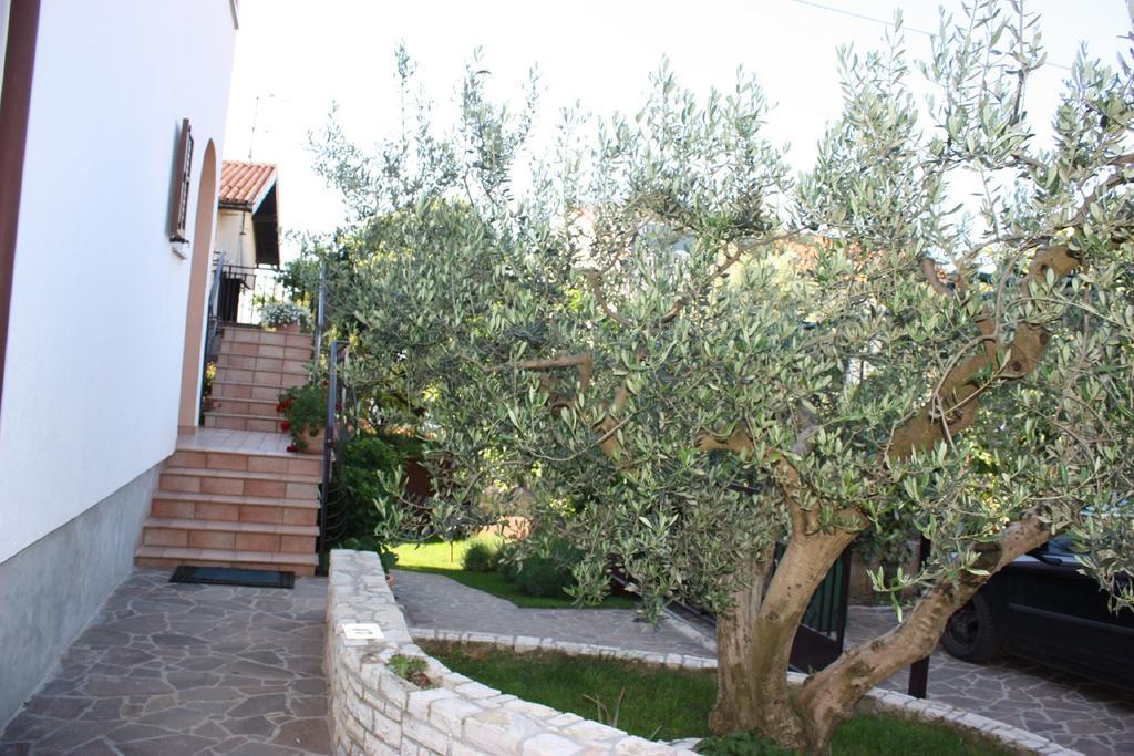 Apartments Mirela Novigrad Istria Εξωτερικό φωτογραφία